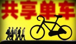 金罗最新爆料消息,最新爆料事件深度解析