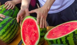 大学最新吃瓜爆料,最新大学吃瓜爆料大揭秘